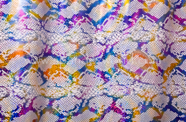 Animal Print Holograms (White/Pearl/Multi)