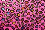 Animal Print Holograms (Hot Pink/Black/Multi)