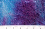 Alternate product image 2