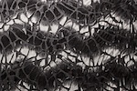 Alternate product image 1