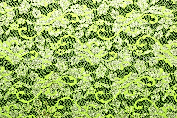 Stretch Lace (Lime/Silver)