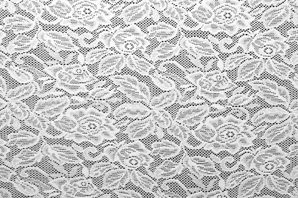 Stretch Lace (White)