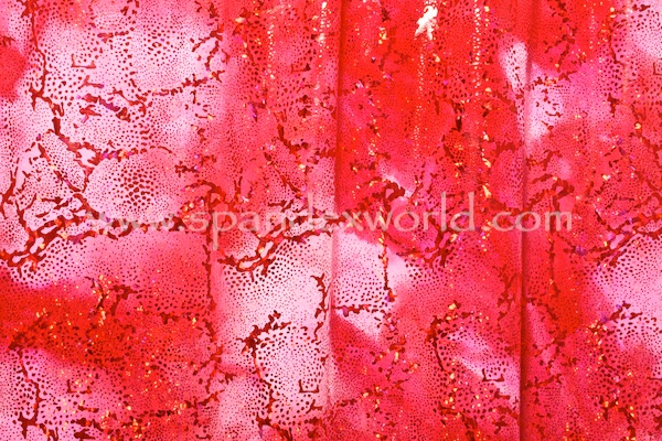 Pattern/Abstract Hologram (Red/Red)