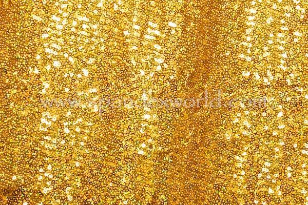 Holographic Stretch Sequins (Gold/Gold Holo)