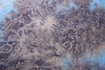 Alternate product image 2