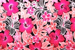 Floral Prints (Black/Fuchsia/Multi)