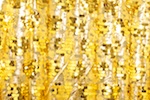 Stretch Sequins (Gold/Gold)