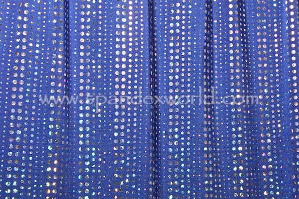 Holographic Dots (Royal/Silver)