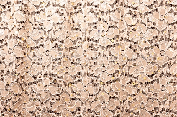 Stretch Sequins Lace (Taupe/White/Gold)