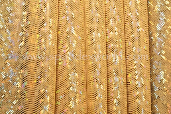 Shatter Glass Holographic Mesh (Nude/Gold)