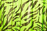 Animal Print Hologram (Lime/Black/Chartreuse)