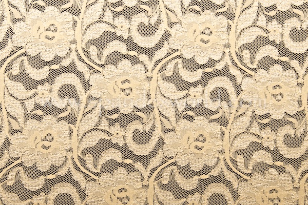 Stretch Lace (Taupe)