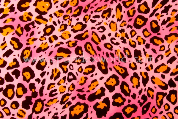 Animal Prints (Pink/Bright Orange/Black)