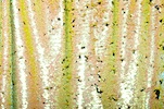 Stretch Reflective Sequins (Black/Pearl/Chartreuse)