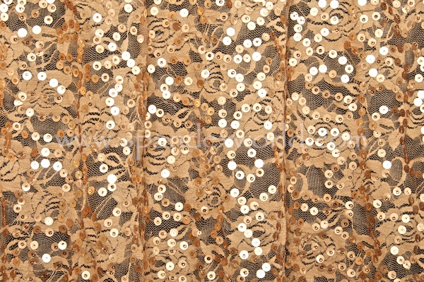 Stretch Sequins Lace (Nude/Matte Gold/Gold)