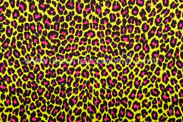 Animal Prints (Pink/Black/Chartreuse)