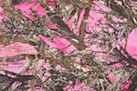 Tree Print Spandex (Pink/Brown/Multi)