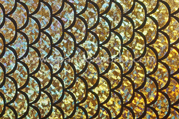 Pattern/Abstract Hologram (Black/Gold)