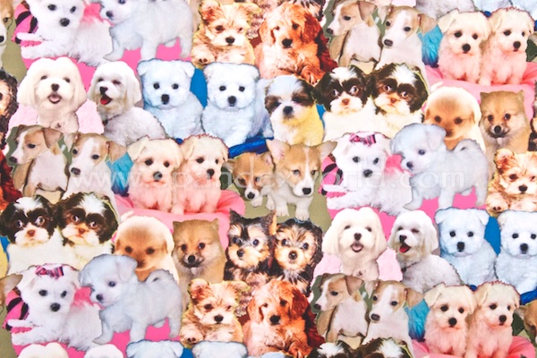 Animal Prints (Puppy)