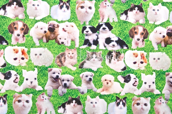 Animal Prints (Cat & Puppy)