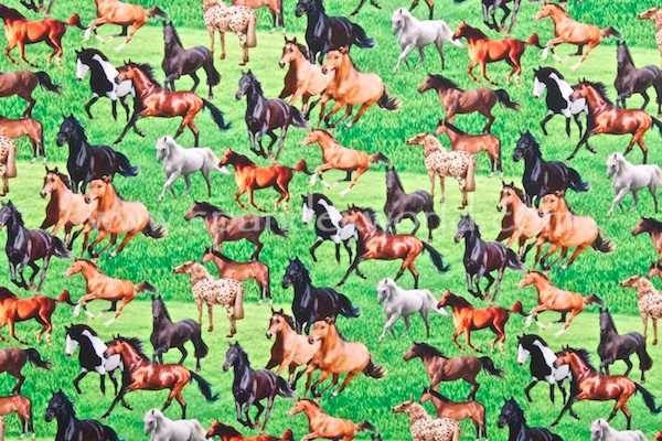Animal Prints (Horse)