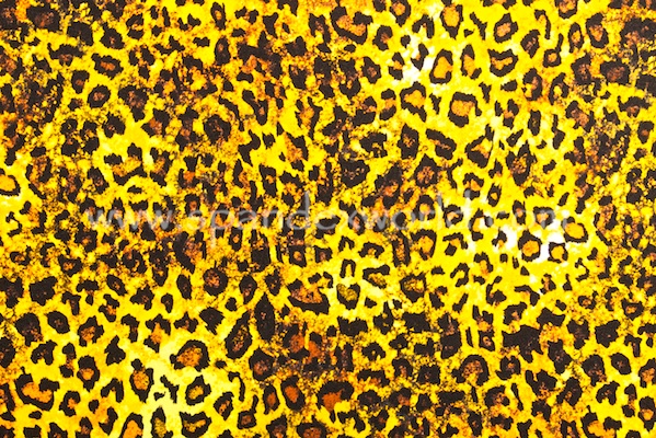 Animal Print (Orange/Yellow/Black)