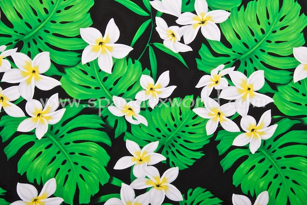 Floral Prints (Black/Green/Multi)