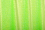 Glitter/Pattern Stretch Velvet (Lime/Silver Holo)