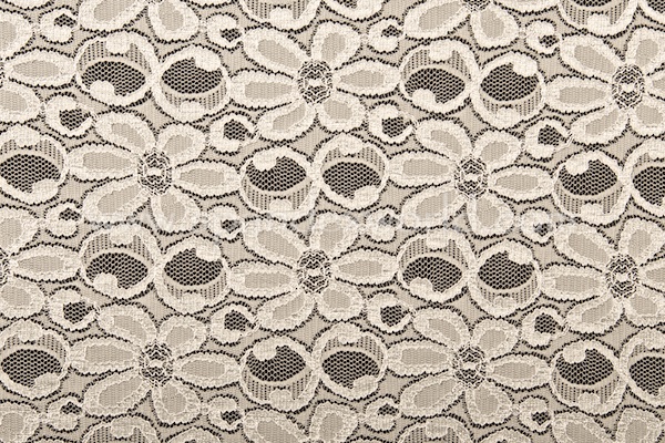 Stretch Lace (Silver)