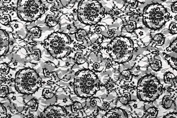 Stretch Printed Lace (Black/White)