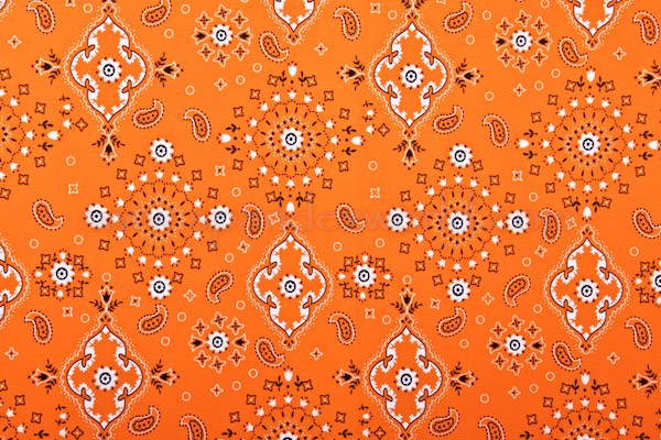 Paisley Prints (Bright Orange/Black/Multi)