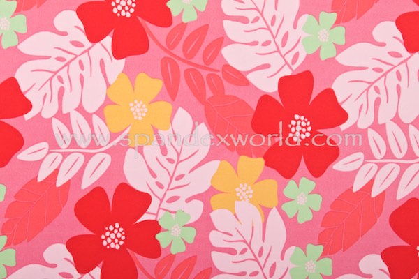 Floral Prints (Pink/Red/Multi)