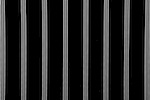 Printed Stripes (Black/White)