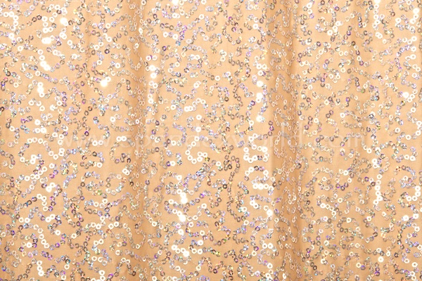 Holographic Stretch Sequins (Nude/Silver Holo)