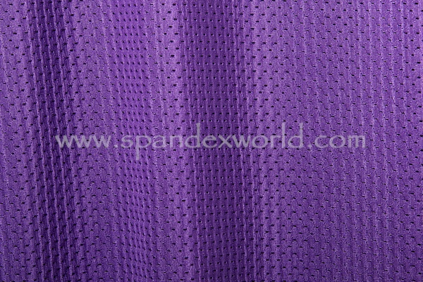 Non-stretch Athletic Net (Purple)