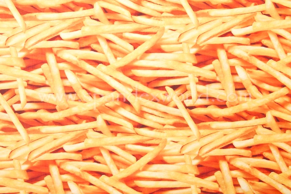 Printed Spandex (French Fries)