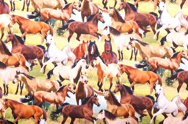Animal Print (Country Horses)
