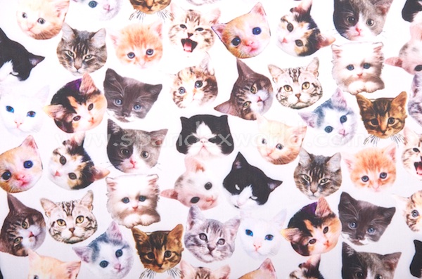 Animal Print (Cats Friend)