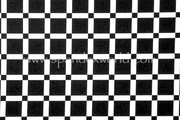 Abstract print (Black/White)