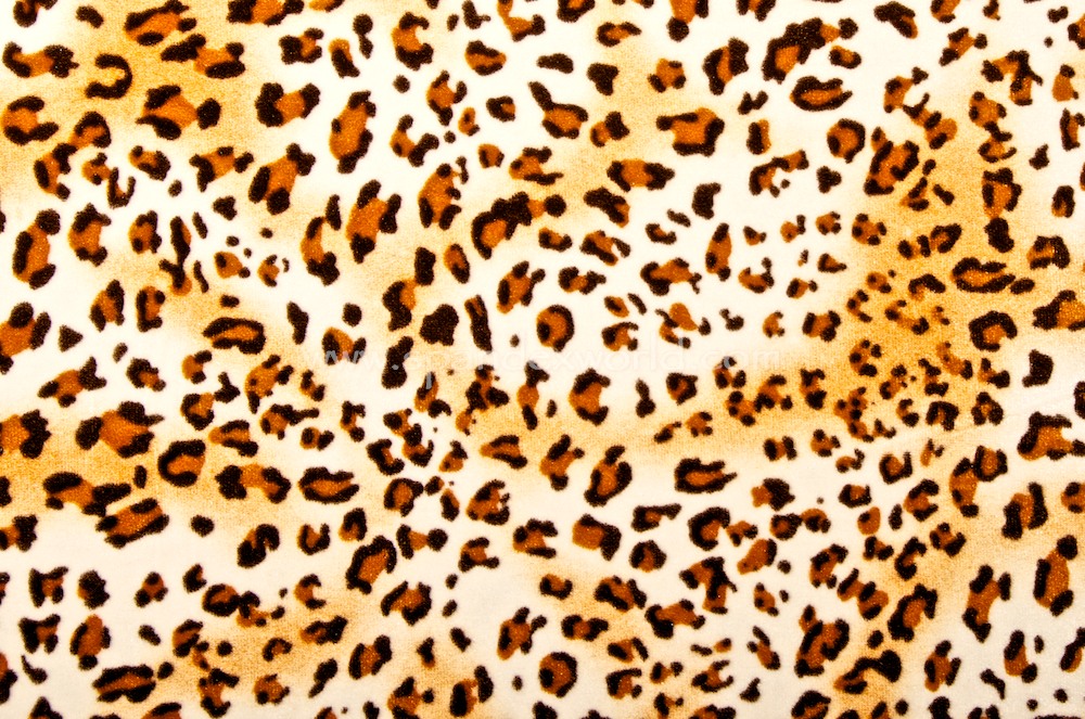 Leopard  Pattern velvet (Cream/Brown/Orange)