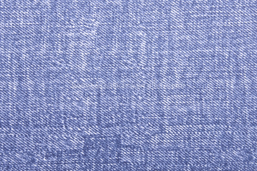 Stretch Denim Print (Blue/White)