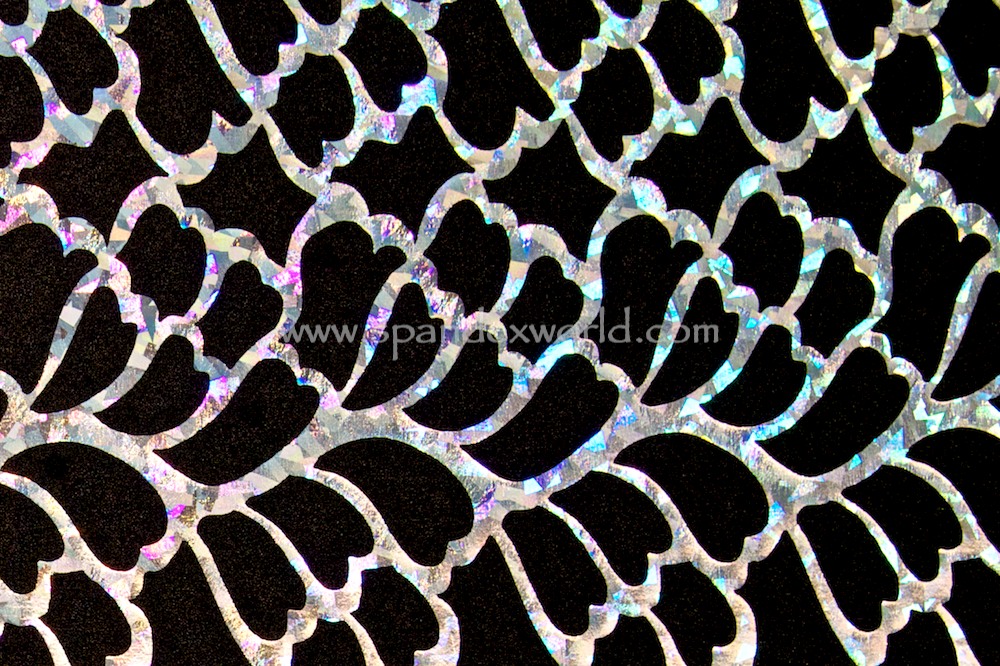 Pattern/Abstract Hologram (Black / silver holo)