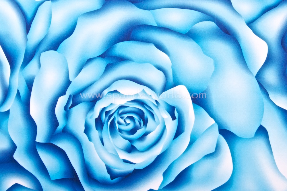 Floral Prints (Blue/Multi)