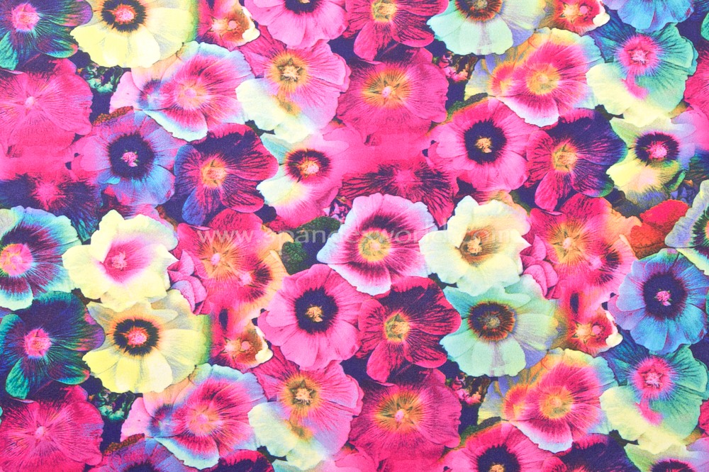 Floral Prints (Pink/Blue/Multi)
