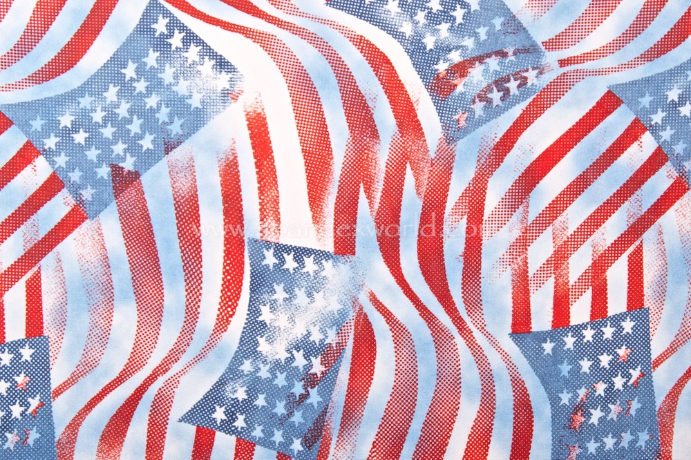 Flag Print (U.S. Flag)