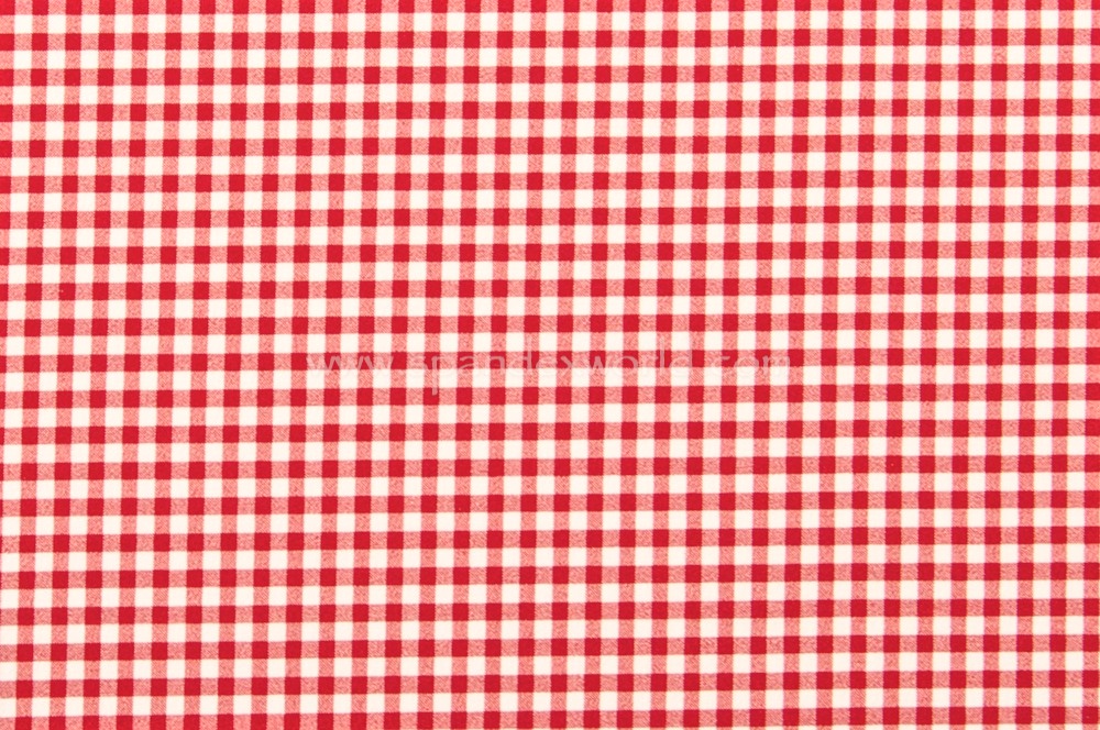 Checkered Print (White/Red)