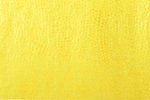Animal prints hologram (Yellow)