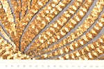 Alternate product image 2
