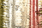 Stretch Sequins (Dusty Rose/Olive/Multi)