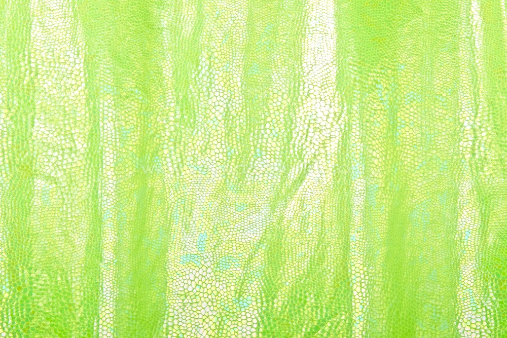 Animal prints hologram (Lime)